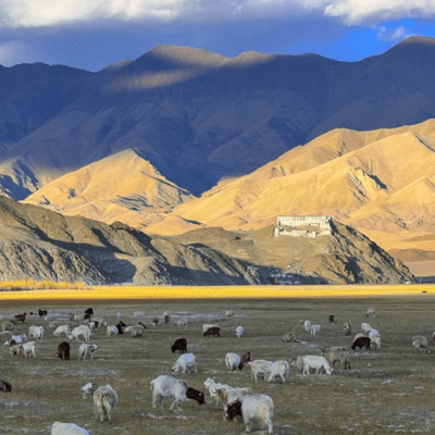 Hanley / Anlay  village