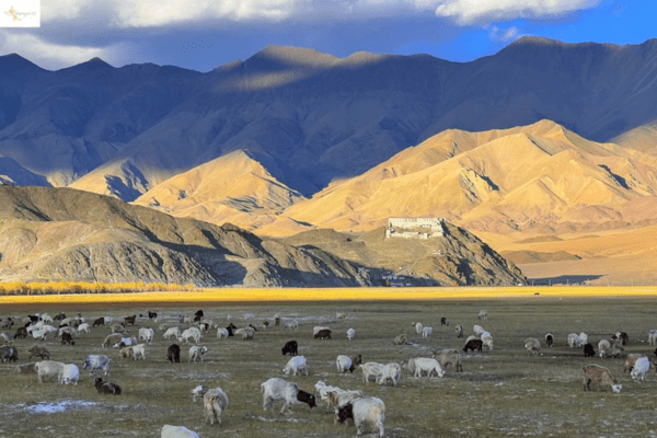 Hanley / Anlay  village