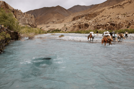 Hemis to Padum via Junglam Trek