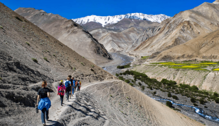 Rumtse to Tso Moriri Trek