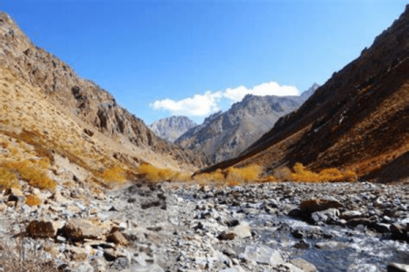 5 Must-Try Adventure Experiences in Ladakh
