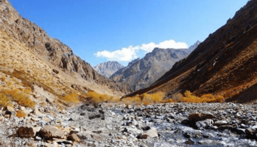 5 Must-Try Adventure Experiences in Ladakh