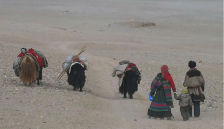 Nomadic Life Experience – Living with the Changpas