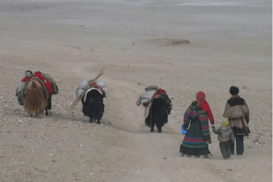 Stay With Nomadic Tribe in Changthang