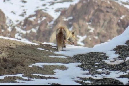 Activities in Saspochey