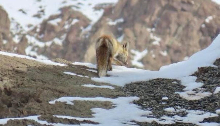 Activities in Saspochey