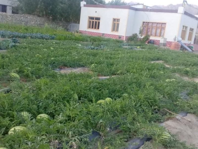 Dolker Jolden Homestay