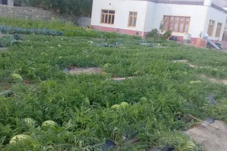 Dolker Jolden Homestay