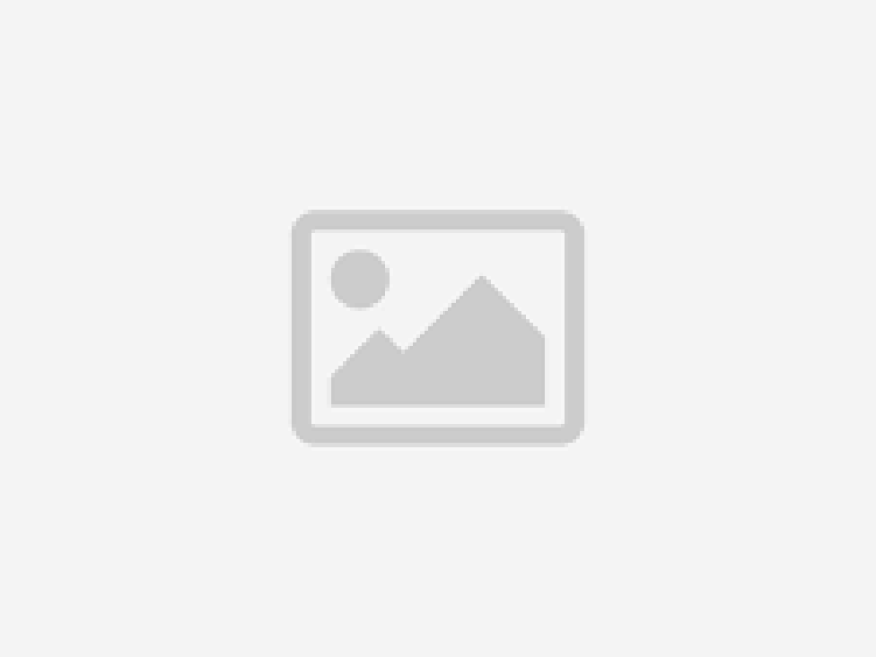 Stanzin Paying Guest – Duplex Room