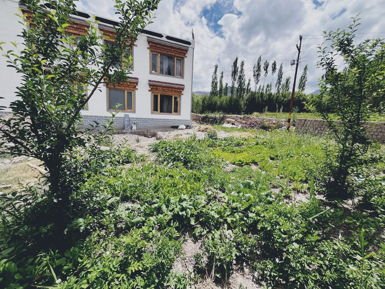 Single Room – Nilza homestay