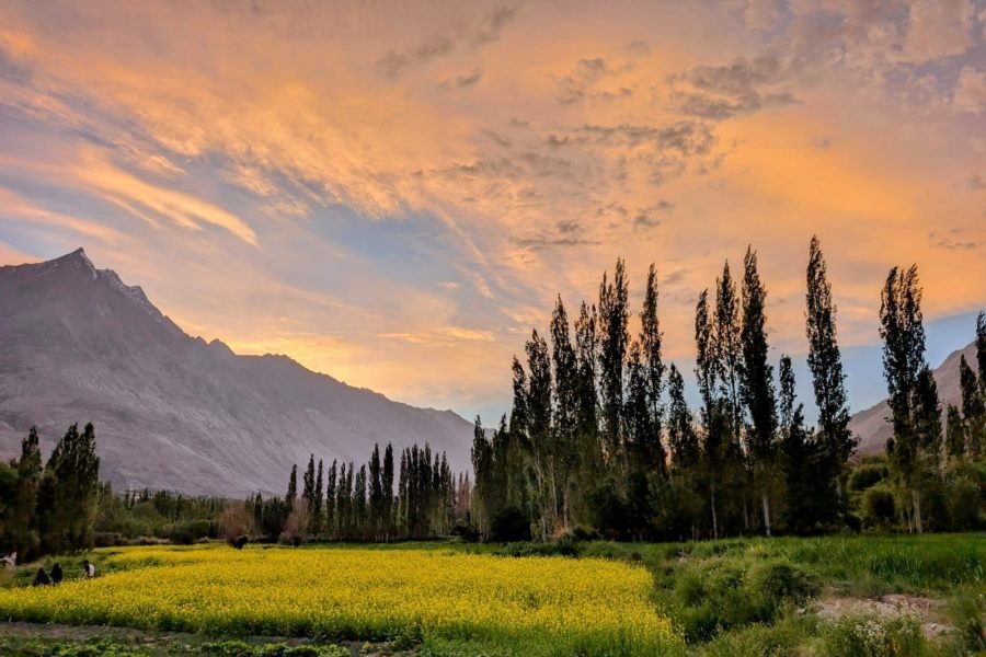 Village Life Immersion Day Tour